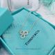 AAA Tiffany And Co Paper Flowers Diamond Necklace - 925 Silver (4)_th.jpg